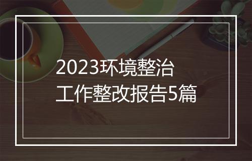 2023环境整治工作整改报告5篇