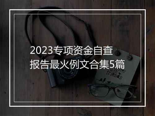 2023专项资金自查报告最火例文合集5篇
