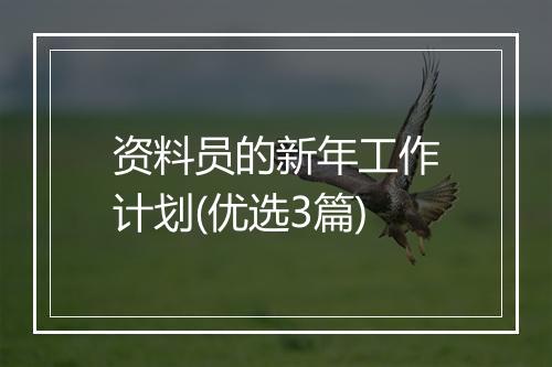 资料员的新年工作计划(优选3篇)