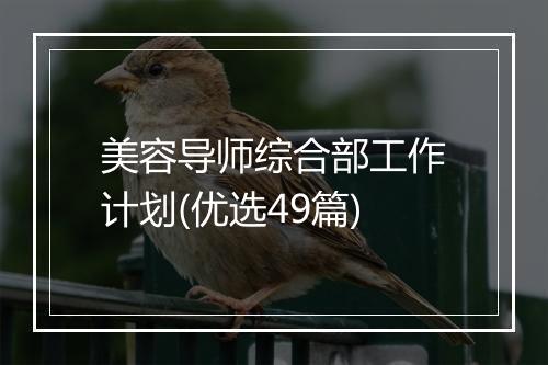 美容导师综合部工作计划(优选49篇)
