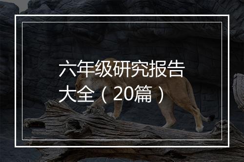 六年级研究报告大全（20篇）