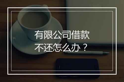 有限公司借款不还怎么办？