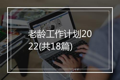 老龄工作计划2022(共18篇)