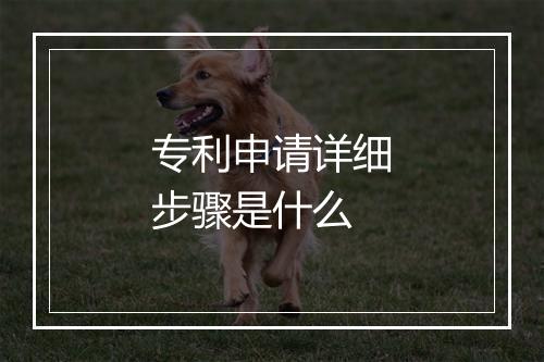 专利申请详细步骤是什么