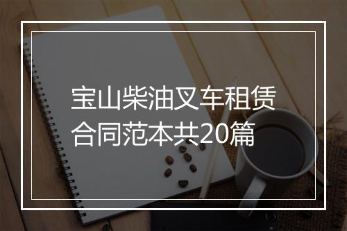 宝山柴油叉车租赁合同范本共20篇