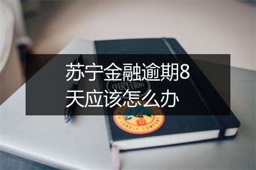 苏宁金融逾期8天应该怎么办