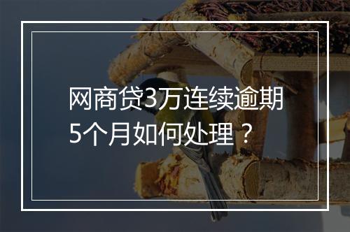 网商贷3万连续逾期5个月如何处理？