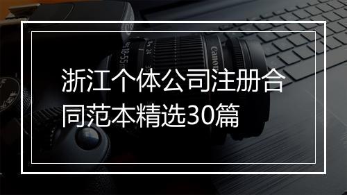 浙江个体公司注册合同范本精选30篇