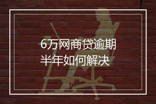 6万网商贷逾期半年如何解决