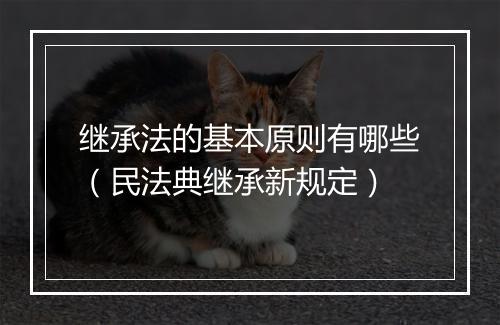 继承法的基本原则有哪些（民法典继承新规定）