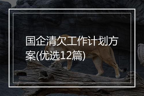 国企清欠工作计划方案(优选12篇)