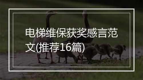 电梯维保获奖感言范文(推荐16篇)