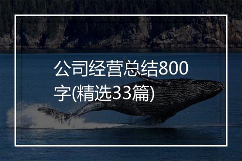 公司经营总结800字(精选33篇)