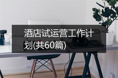酒店试运营工作计划(共60篇)