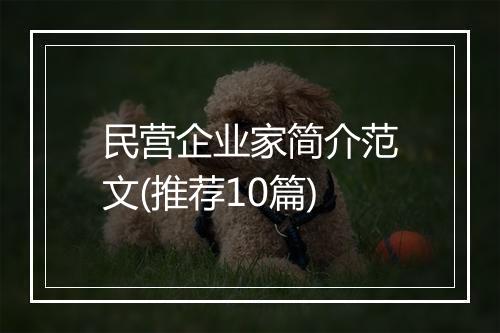 民营企业家简介范文(推荐10篇)
