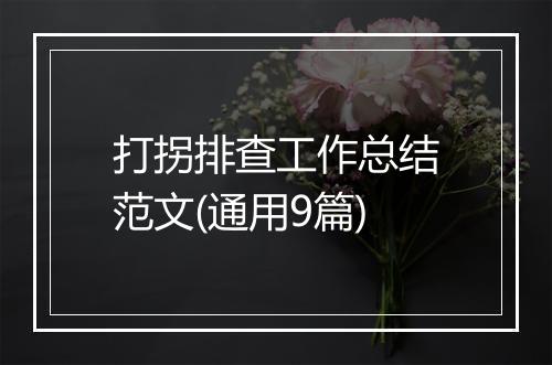 打拐排查工作总结范文(通用9篇)