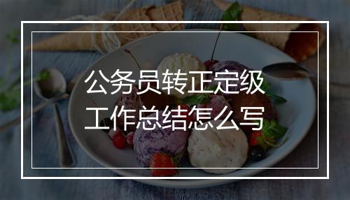 公务员转正定级工作总结怎么写