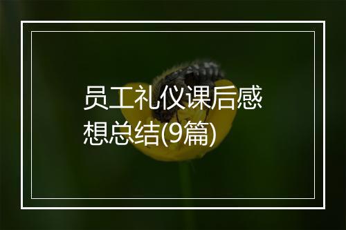 员工礼仪课后感想总结(9篇)