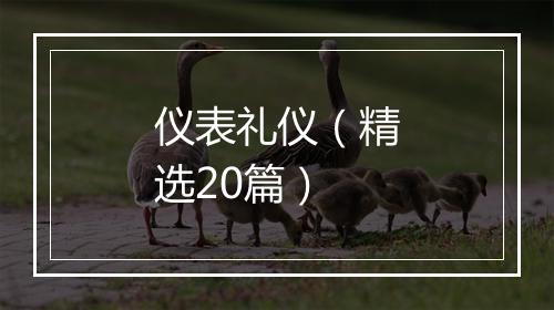 仪表礼仪（精选20篇）