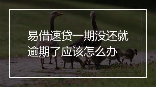 易借速贷一期没还就逾期了应该怎么办