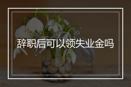 辞职后可以领失业金吗