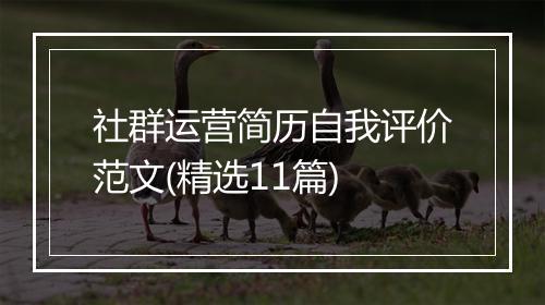 社群运营简历自我评价范文(精选11篇)
