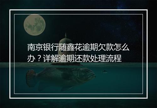 南京银行随鑫花逾期欠款怎么办？详解逾期还款处理流程