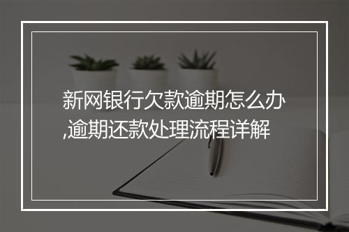 新网银行欠款逾期怎么办,逾期还款处理流程详解