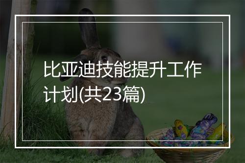 比亚迪技能提升工作计划(共23篇)