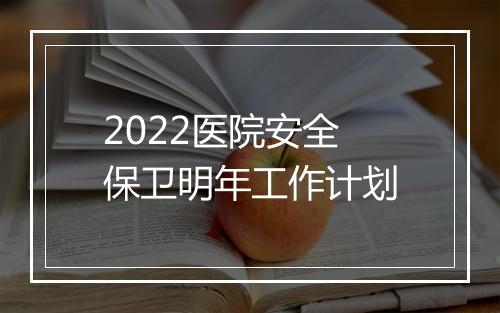 2022医院安全保卫明年工作计划