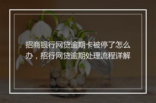 招商银行网贷逾期卡被停了怎么办，招行网贷逾期处理流程详解