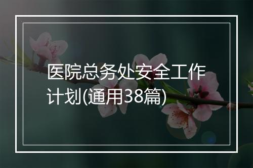 医院总务处安全工作计划(通用38篇)