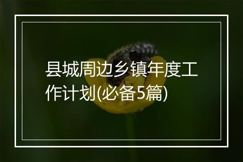 县城周边乡镇年度工作计划(必备5篇)