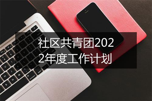 社区共青团2022年度工作计划