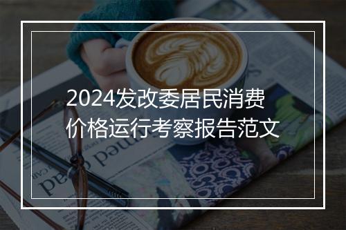 2024发改委居民消费价格运行考察报告范文