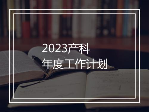 2023产科年度工作计划
