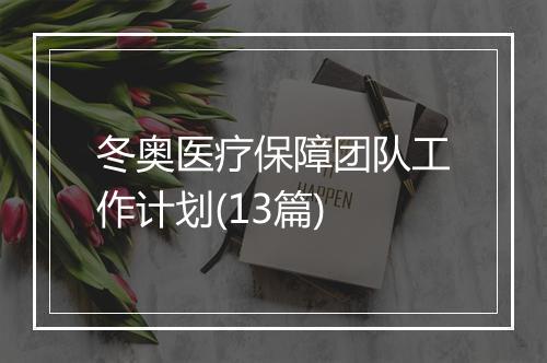冬奥医疗保障团队工作计划(13篇)