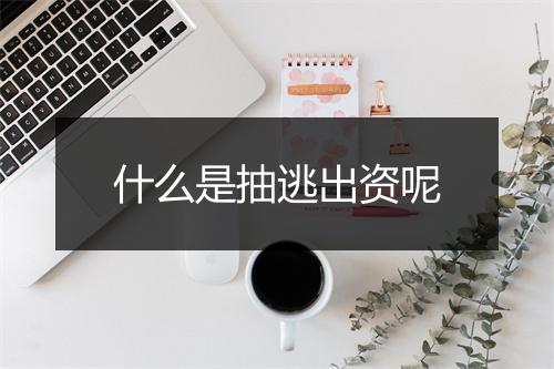 什么是抽逃出资呢