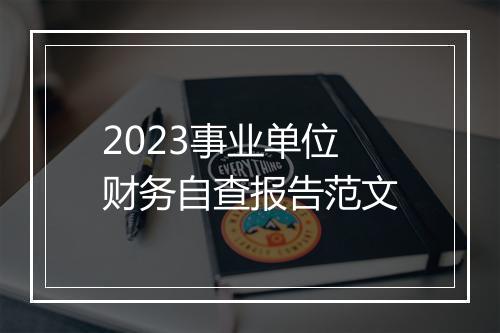 2023事业单位财务自查报告范文