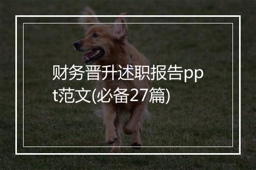 财务晋升述职报告ppt范文(必备27篇)