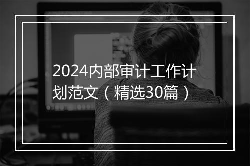2024内部审计工作计划范文（精选30篇）