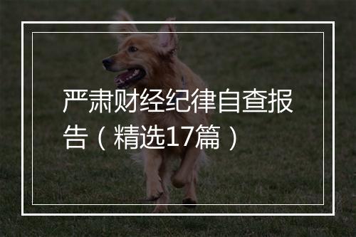 严肃财经纪律自查报告（精选17篇）