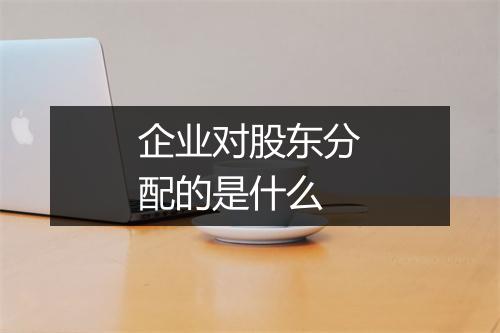企业对股东分配的是什么