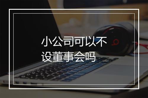 小公司可以不设董事会吗