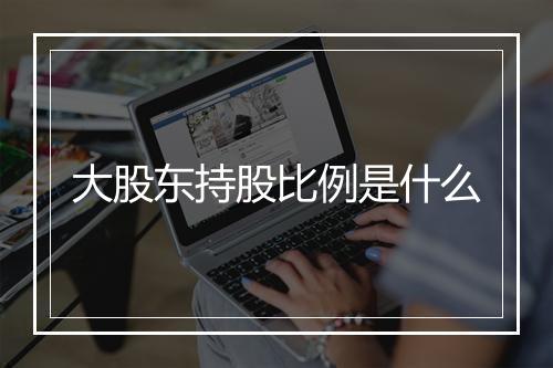 大股东持股比例是什么