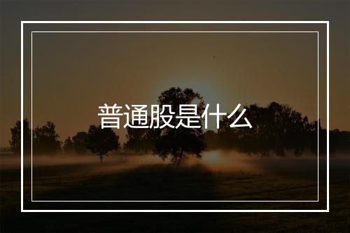 普通股是什么