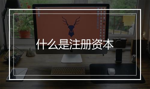 什么是注册资本