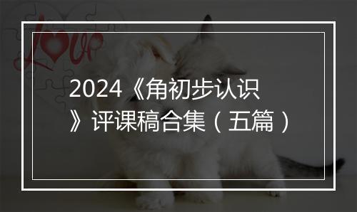 2024《角初步认识》评课稿合集（五篇）
