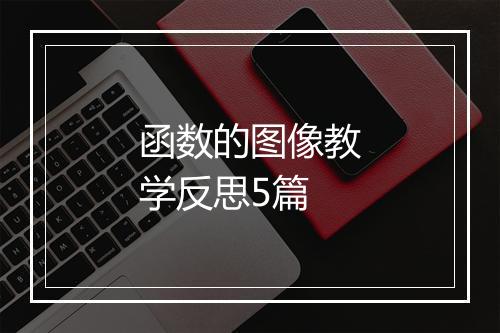 函数的图像教学反思5篇