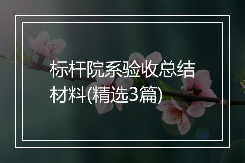 标杆院系验收总结材料(精选3篇)